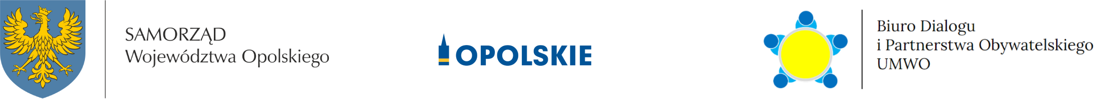 WNIOSEK O REALIZACJĘ INICJATYWY  W RAMACH PROJEKTU „OPOLSKIE DLA MŁODZIEŻY W 2025 ROKU”